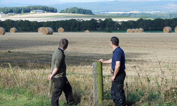 Two men leaning against a fence looking out over a field.